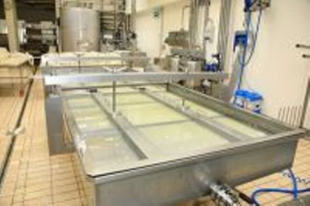 Milk processing plants